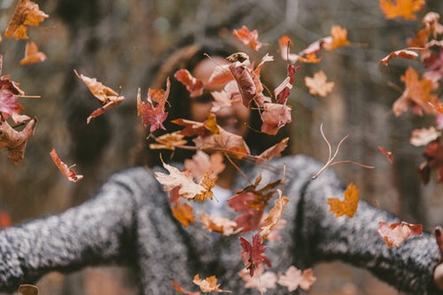 јесење идеје за инстаграм за инстаграм - девојка баца лишће у шуму