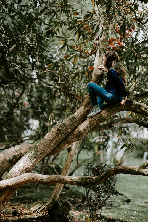 идеје за јесењу фотографију за инстаграм - девојка на дрвету